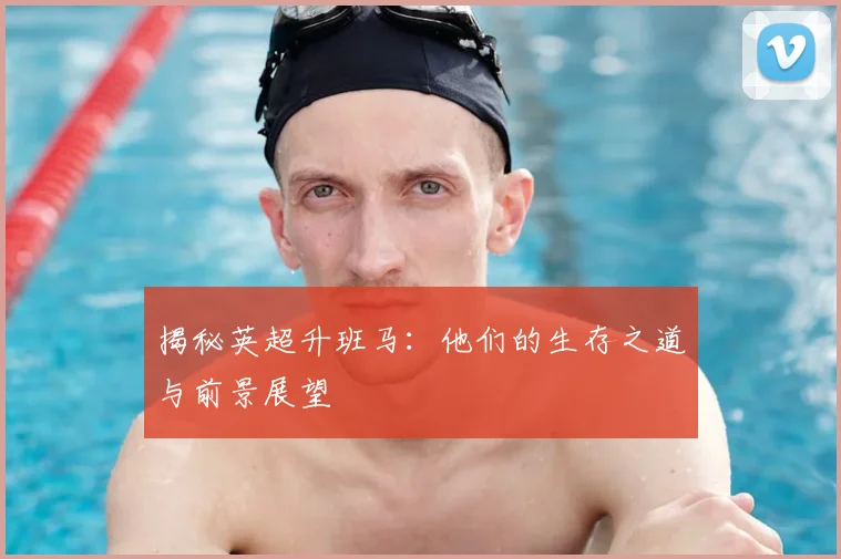 揭秘英超升班马：他们的生存之道与前景展望