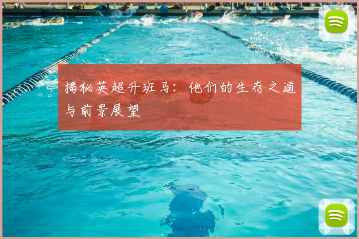 揭秘英超升班马:他们的生存之道与前景展望